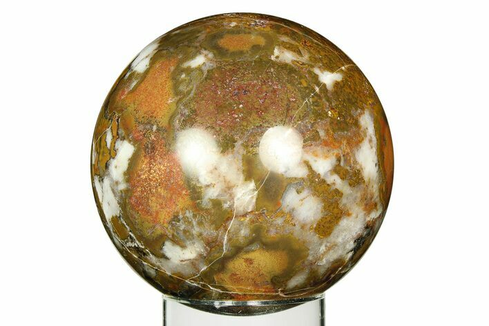 Polished King Cobra Jasper Sphere - India #309232